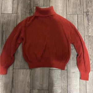 Ambiance Brick Red Turtleneck Sweater